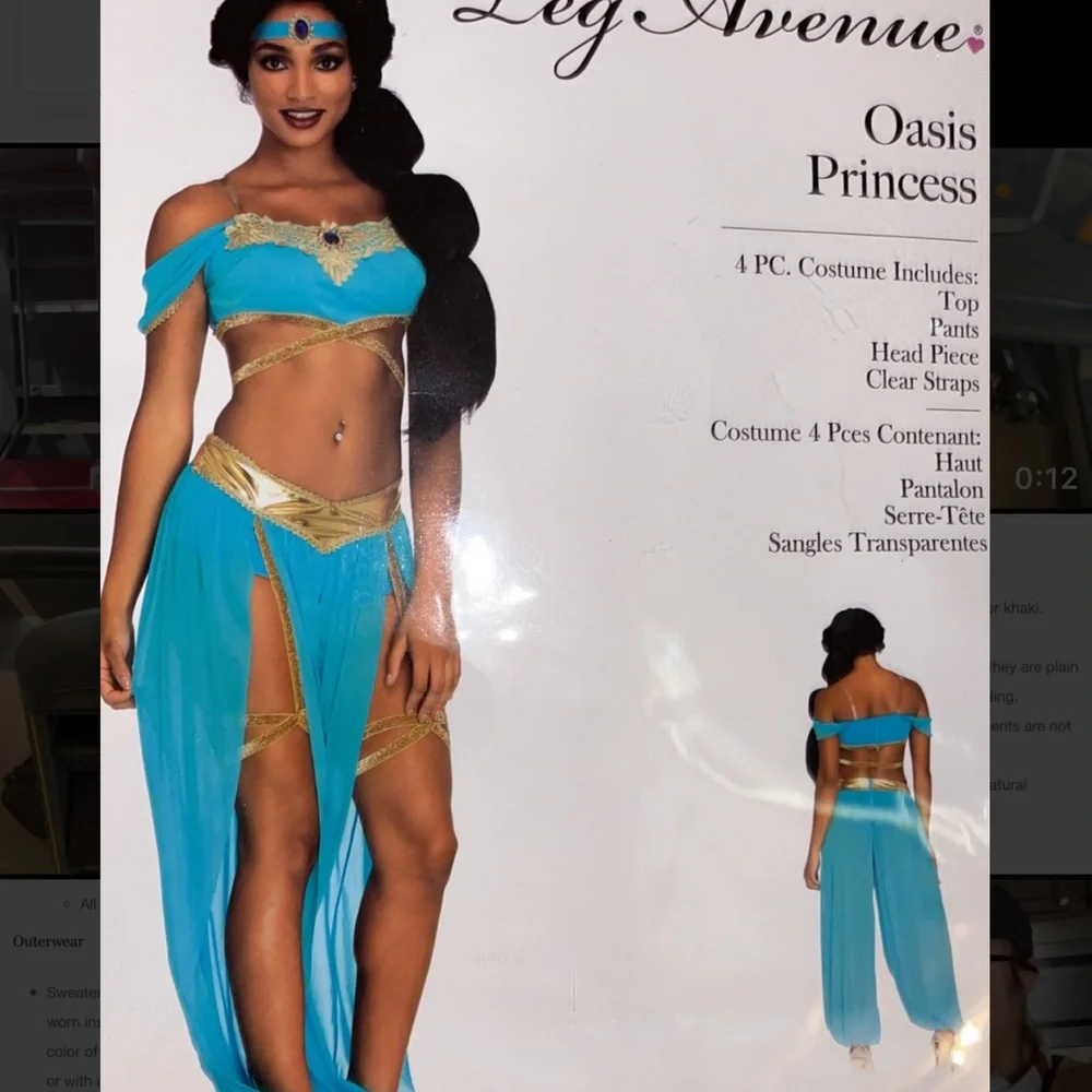 Princess Jasmine Costume (INCLUDES SANDALS!) - Picture 2 of 4
